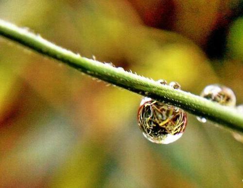 聽(tīng)雨