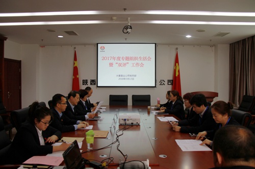 大秦置業(yè)公司：緊嚴(yán)并舉開好黨支部2017年度專題組織生活會暨雙評工作會