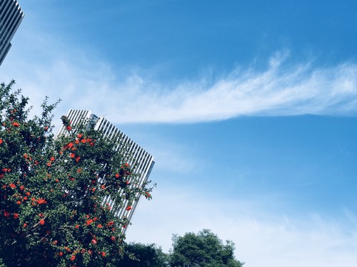 碧空萬里