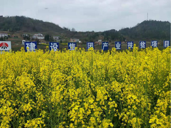 公司領(lǐng)導(dǎo)寧興剛、侯本英到扶貧定點(diǎn)幫扶村看望慰問困難群眾