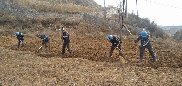 陜煤建設洗選煤運營公司左權洗煤廠項目部：春耕“小菜園”，播種幸福感
