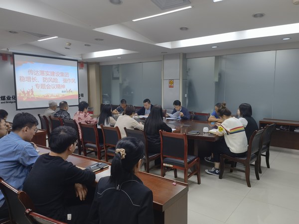 陜煤建設各單位傳達落實建設集團穩(wěn)增長、防風險、強作風工作部署會議精神