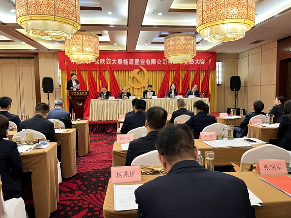 陜西大秦能源置業(yè)有限公司召開(kāi)第二次全體黨員大會(huì)
