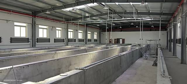 陜煤建設(shè)韓城分公司：年終歲末，西藏喜訊接踵而至！