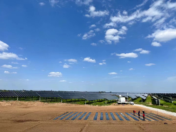 陜煤建設(shè)機(jī)電安裝公司蒲白光伏發(fā)電項(xiàng)目順利通過(guò)商業(yè)運(yùn)營(yíng)前監(jiān)督檢查