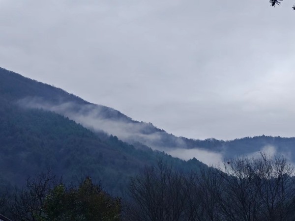 霧繞木王山