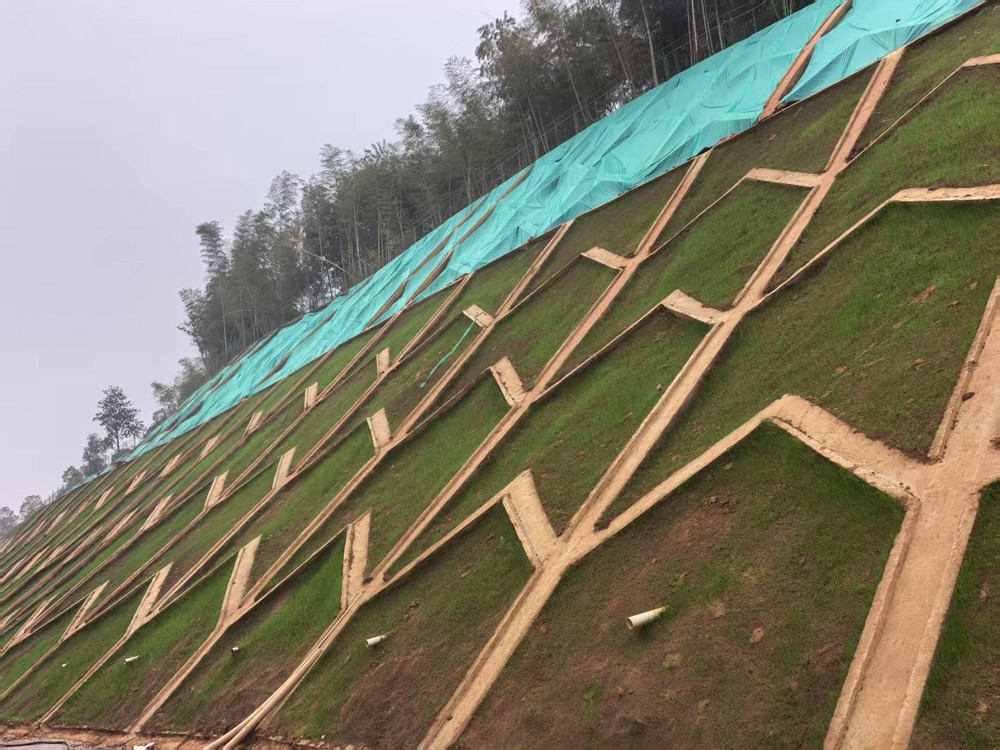 陜煤建設(shè)西北分公司：邊坡披綠衣，防護(hù)顯匠心