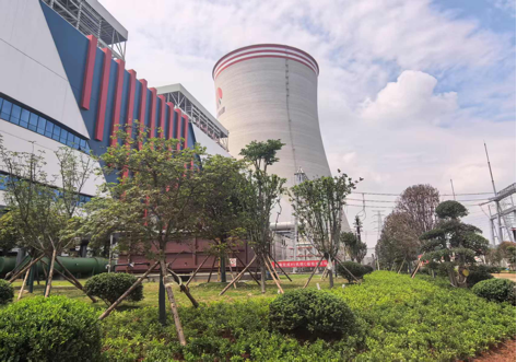 陜煤建設(shè)西北分公司：綠意盎然入電廠，生態(tài)建設(shè)譜新章