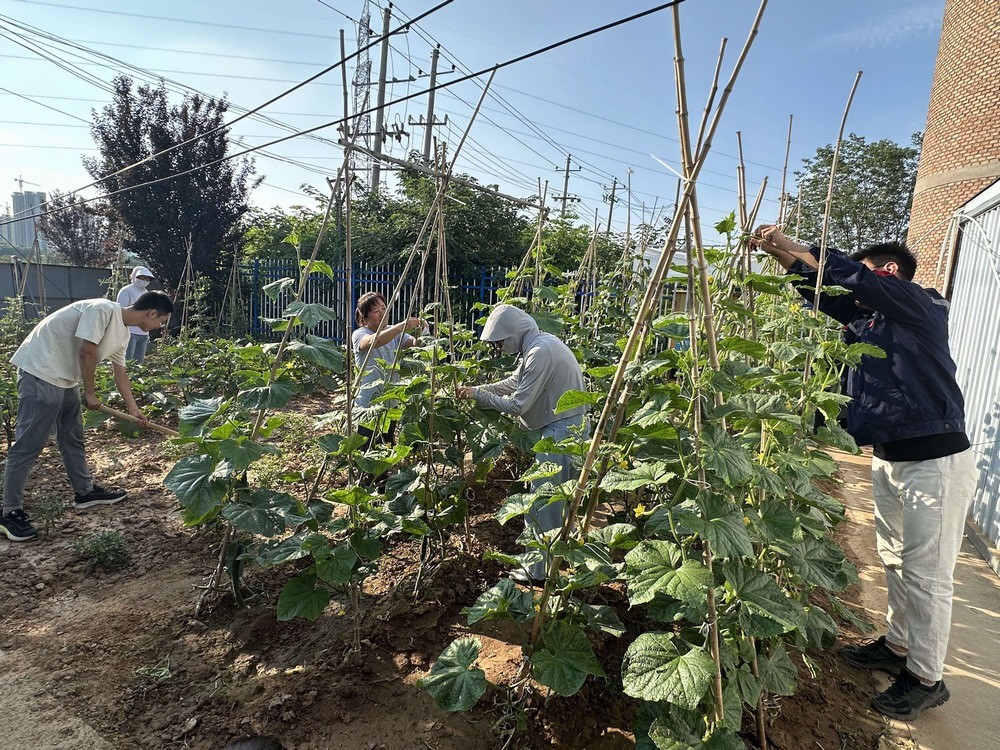 方寸菜園間，鐫刻奮斗與溫情