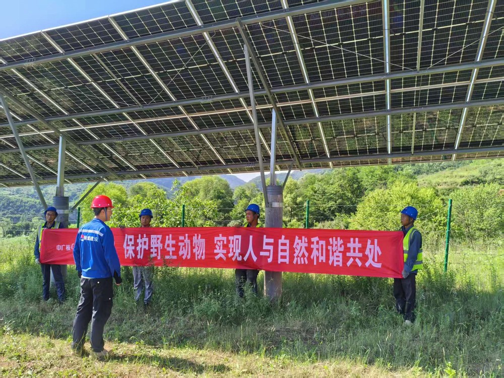 陜煤建設(shè)西北分公司機(jī)電安裝項(xiàng)目部：為野生動(dòng)物撐起“生態(tài)保護(hù)傘”