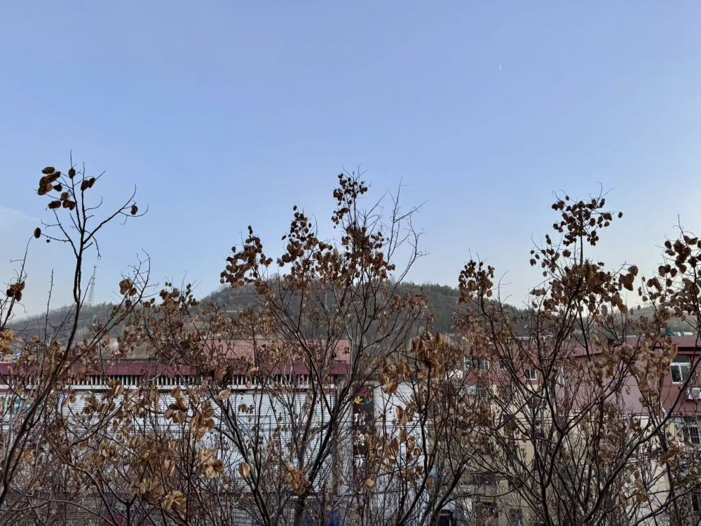 秋意漸濃時，回望來時路