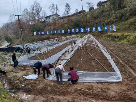 陜煤建設(shè)定點(diǎn)幫扶村：以“五化”實(shí)踐助力鄉(xiāng)村全面振興