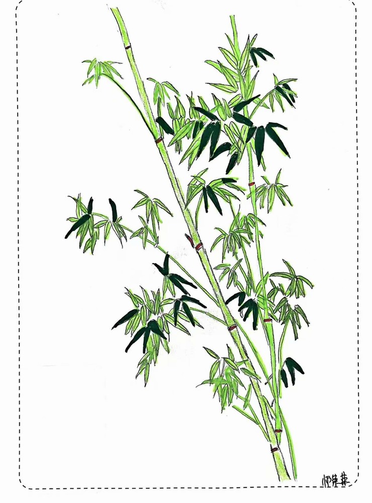 漫說廉潔！這組“草木廉盟”太可了